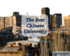 STUDY IN CHINESE