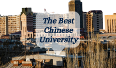 STUDY IN CHINESE