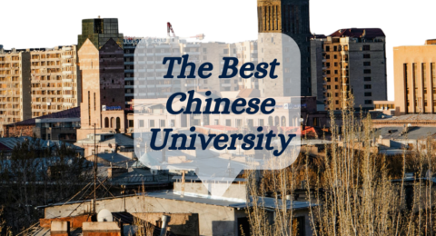 STUDY IN CHINESE